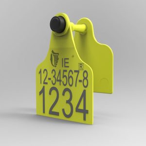 Replacement Visual Tag